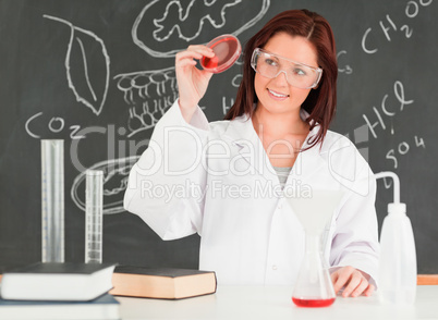 Pretty scientist looking at a petri dish