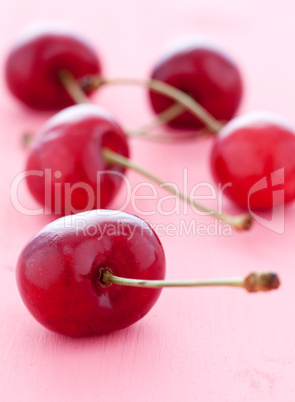 frische Kirschen / fresh cherries