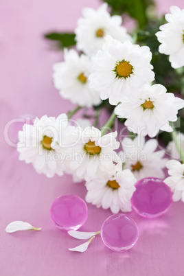 Margeritenblüten / daisies