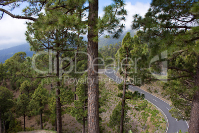 Kurvenreich Bergstrasse in La Palma