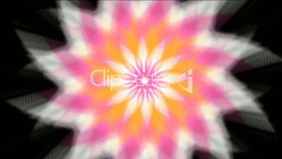 pink flower,Buddhism,religion,totem,peony,pistil,plant,grass,sunflower,tiles,Fireworks,stage,particle,Design,pattern,symbol,dream,vision,idea,creativity,creative,vj,beautiful,art,decorative,mind,Game,Led,neon lights,modern,stylish,dizziness,romance,romant