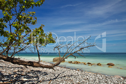 Ostseeküste auf Rügen