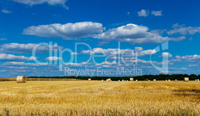 straw bales in a field with blue and white sky