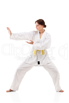 young sexy women in a karate pose