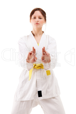 young sexy women in a karate pose