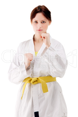 young sexy women in a karate pose