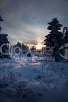 winter forest in mountains