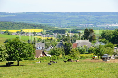 Hunsrück bei Morbach