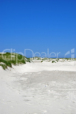 Dünen an der Nordsee