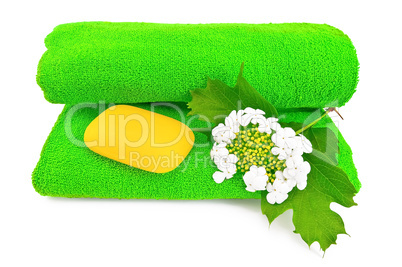 Green towel with soap and snowball