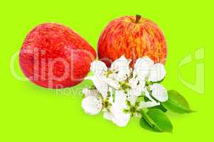 Red apples with flowers