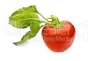 Red sweet pepper with leaves