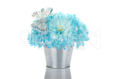 Blue chrysanthemums in a pail