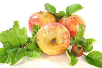 Äpfel mit Blättern