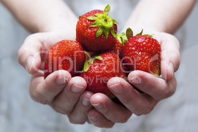 eine Handvoll frische Erdbeeren
