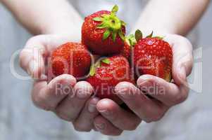 eine Handvoll frische Erdbeeren