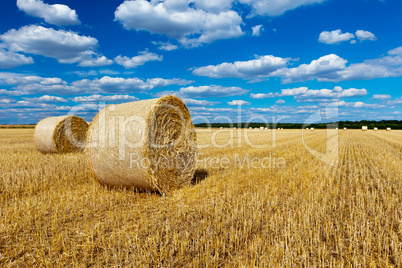 straw bales in a field with blue and white sky