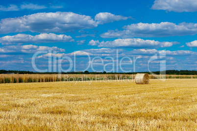 straw bales in a field with blue and white sky