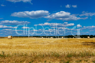 straw bales in a field with blue and white sky