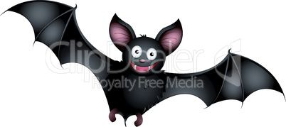 Fledermaus - Bat