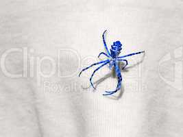 Blue Spider sits on the fabric