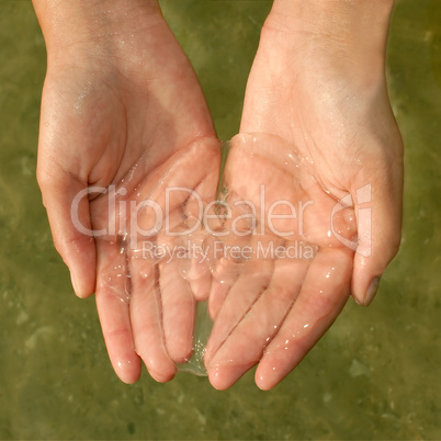 Jellyfish in women's hands