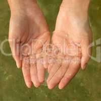 Jellyfish in women's hands