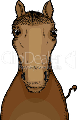 Horse Illustration