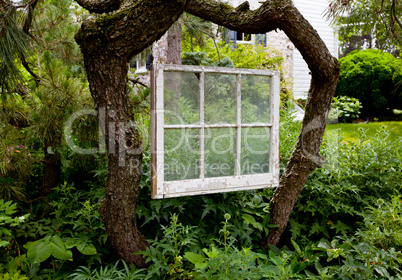 Faded painted window frame in garden