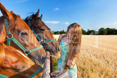 horse and blond girl in paddock on summers