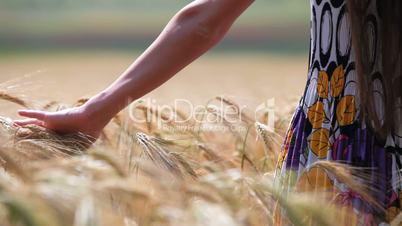 woman's hand moving through wheat
