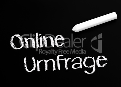 Online Umfrage