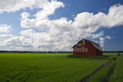 Traditional Red House