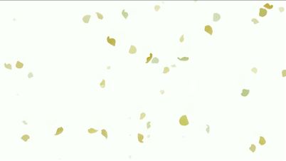 falling ginkgo and yellow leaves ,flower petals.particle,material,texture,Fireworks,Design,pattern,symbol,dream,vision,idea,creativity,creative,beautiful,art,decorative,mind,Game,Led,neon lights,modern,stylish,dizziness,romance,romantic,fire,flame,gas,lig