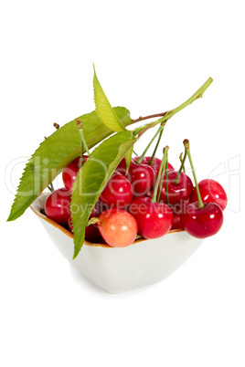 Cherry, isolated on a white background