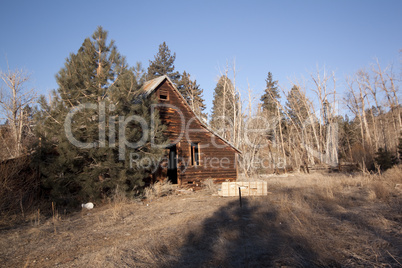 old vintage cabin woods forest abandoned scary barn