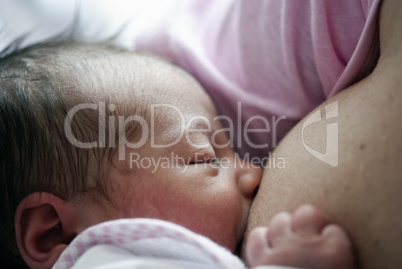 Newborn Baby eating at Mother's Breast