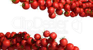 Tasty red Tomatoes isolated on white