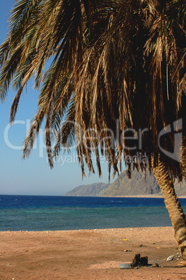 Landscape on beach