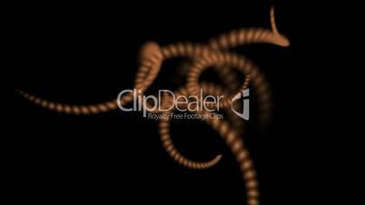 swirl stripe wire or spiral earthworm body,DNA chain.