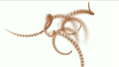 spiral invertebrates body and swirl stripe wire,DNA chain.