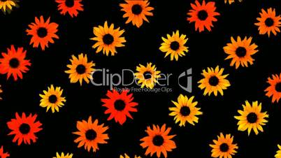sunflower as wedding background,disco neon flower pattern.