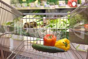 shopping trolley with fresh vegetables