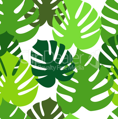 Monstera leaves seamless pattern