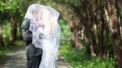 groom kissing bride under veil on  park alley