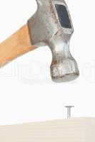 Portrait of a hammer driving a nail