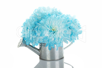 Watering can with blue flowers