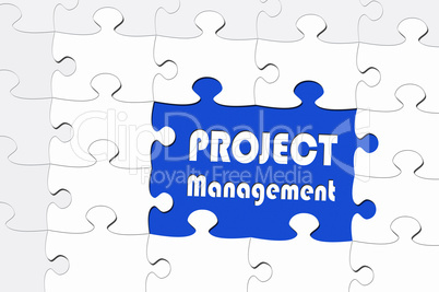 Project Management