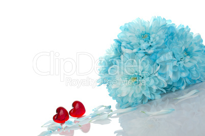 Blue chrysanthemums with two red hearts