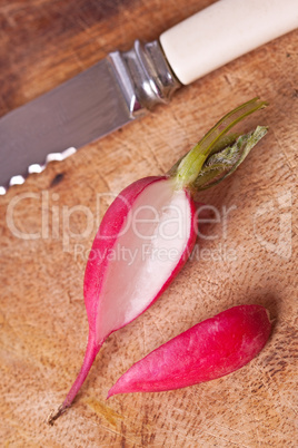 Radish